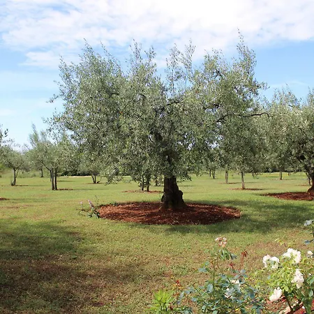Hundefreundliches Nur 250 Meter Zum Mit Mediterranem Garten Apartamento Poreč